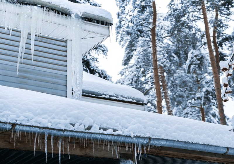 Minnesota Winter Storm Damage